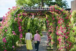 「【茨城】11月22日～24日の三連休おでかけにもおすすめ！人気スポットランキング」の写真