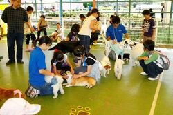 「【茨城】11月22日～24日の三連休おでかけにもおすすめ！人気スポットランキング」の写真