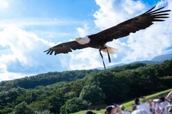「【栃木】11月22日～24日の三連休おでかけにもおすすめ！人気スポットランキング」の写真