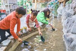 「【栃木】11月22日～24日の三連休おでかけにもおすすめ！人気スポットランキング」の写真