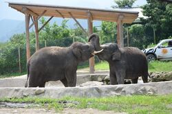 「【群馬】11月22日～24日の三連休おでかけにもおすすめ！人気スポットランキング」の写真