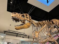 「【群馬】11月22日～24日の三連休おでかけにもおすすめ！人気スポットランキング」の写真