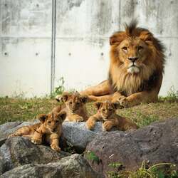 「豊橋駅直結のホテルで小学生まで無料の家族向け宿泊プラン「あいちウィーク」でお得！」の写真