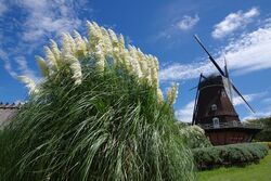 「【千葉】11月22日～24日の三連休おでかけにもおすすめ！人気スポットランキング」の写真