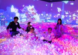 「【東京】11月22日～24日の三連休おでかけにもおすすめ！人気スポットランキング」の写真