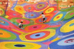 「【神奈川】11月22日～24日の三連休おでかけにもおすすめ！人気スポットランキング」の写真