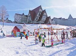 「【新潟】11月22日～24日の三連休おでかけにもおすすめ！人気スポットランキング」の写真