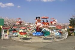 「【新潟】11月22日～24日の三連休おでかけにもおすすめ！人気スポットランキング」の写真