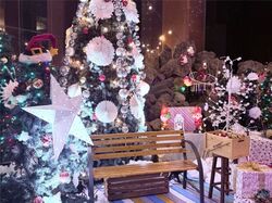 「【新潟】11月22日～24日の三連休おでかけにもおすすめ！人気スポットランキング」の写真