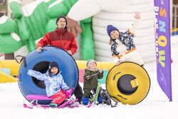 「【新潟】11月22日～24日の三連休おでかけにもおすすめ！人気スポットランキング」の写真