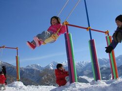 「【新潟】11月22日～24日の三連休おでかけにもおすすめ！人気スポットランキング」の写真