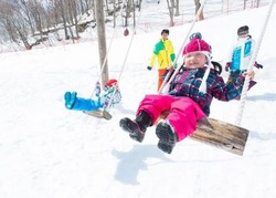 「【新潟】11月22日～24日の三連休おでかけにもおすすめ！人気スポットランキング」の写真