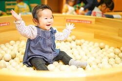 「【鳥取】11月22日～24日の三連休おでかけにもおすすめ！人気スポットランキング」の写真