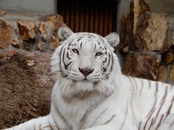 「【岡山】11月22日～24日の三連休おでかけにもおすすめ！人気スポットランキング」の写真