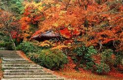 「【山口】11月22日～24日の三連休おでかけにもおすすめ！人気スポットランキング」の写真