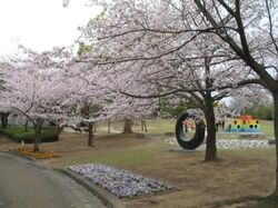 「【徳島】11月22日～24日の三連休おでかけにもおすすめ！人気スポットランキング」の写真