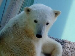 「【徳島】11月22日～24日の三連休おでかけにもおすすめ！人気スポットランキング」の写真