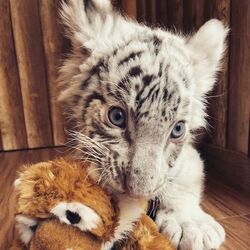 「【香川】11月22日～24日の三連休おでかけにもおすすめ！人気スポットランキング」の写真