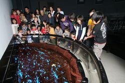 「【富山】11月22日～24日の三連休おでかけにもおすすめ！人気スポットランキング」の写真