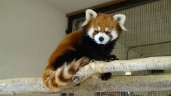 「【福井】11月22日～24日の三連休おでかけにもおすすめ！人気スポットランキング」の写真