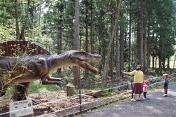 「【福井】11月22日～24日の三連休おでかけにもおすすめ！人気スポットランキング」の写真