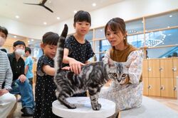 「【山梨】11月22日～24日の三連休おでかけにもおすすめ！人気スポットランキング」の写真