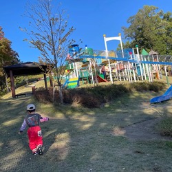 「【山梨】11月22日～24日の三連休おでかけにもおすすめ！人気スポットランキング」の写真