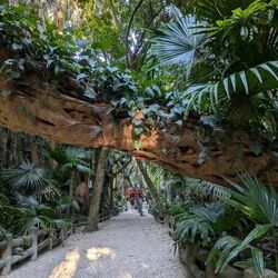 「【宮崎】11月22日～24日の三連休おでかけにもおすすめ！人気スポットランキング」の写真