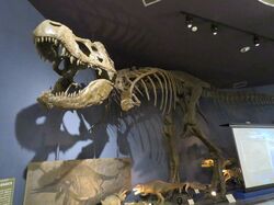 「【宮崎】11月22日～24日の三連休おでかけにもおすすめ！人気スポットランキング」の写真