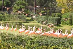 「【宮崎】11月22日～24日の三連休おでかけにもおすすめ！人気スポットランキング」の写真