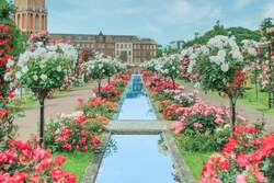 「ハウステンボスが史上最高に華やかな春を迎える！チューリップと九州グルメが楽しめる」の写真