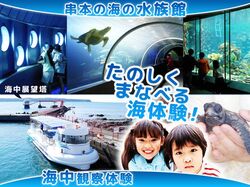 「【和歌山】11月22日～24日の三連休おでかけにもおすすめ！人気スポットランキング」の写真