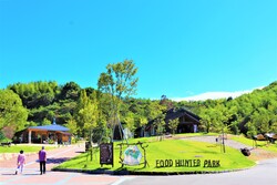 「【和歌山】11月22日～24日の三連休おでかけにもおすすめ！人気スポットランキング」の写真