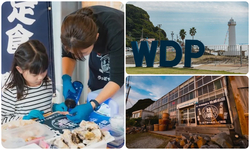 あいちトライアングル灯台めぐり2025