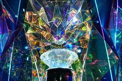 「【奈良】11月22日～24日の三連休おでかけにもおすすめ！人気スポットランキング」の写真