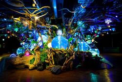 「【奈良】11月22日～24日の三連休おでかけにもおすすめ！人気スポットランキング」の写真