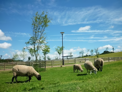 「【奈良】11月22日～24日の三連休おでかけにもおすすめ！人気スポットランキング」の写真