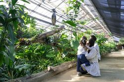 「【兵庫】11月22日～24日の三連休おでかけにもおすすめ！人気スポットランキング」の写真