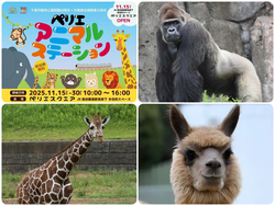 ペリエアニマルステーション