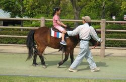 「【愛媛】11月22日～24日の三連休おでかけにもおすすめ！人気スポットランキング」の写真