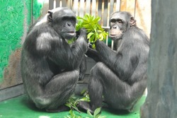 「【高知】11月22日～24日の三連休おでかけにもおすすめ！人気スポットランキング」の写真