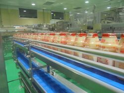 「【福岡】11月22日～24日の三連休おでかけにもおすすめ！人気スポットランキング」の写真