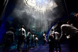 「【福岡】11月22日～24日の三連休おでかけにもおすすめ！人気スポットランキング」の写真