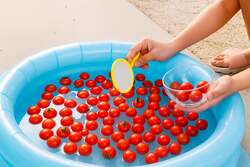 「千葉県柏市の「道の駅しょうなん」で秋の知産知消マルシェ開催！　謎解きや農業体験も」の写真