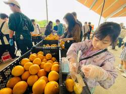 「千葉県柏市の「道の駅しょうなん」で秋の知産知消マルシェ開催！　謎解きや農業体験も」の写真