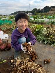 「千葉県柏市の「道の駅しょうなん」で秋の知産知消マルシェ開催！　謎解きや農業体験も」の写真