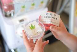 「千葉県柏市の「道の駅しょうなん」で秋の知産知消マルシェ開催！　謎解きや農業体験も」の写真