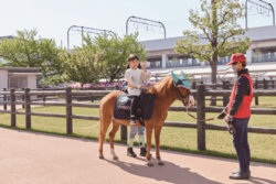 「【京都】11月22日～24日の三連休おでかけにもおすすめ！人気スポットランキング」の写真