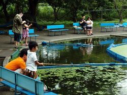 「【滋賀】11月22日～24日の三連休おでかけにもおすすめ！人気スポットランキング」の写真