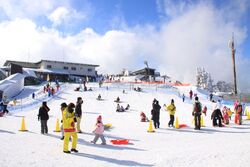 「【滋賀】11月22日～24日の三連休おでかけにもおすすめ！人気スポットランキング」の写真